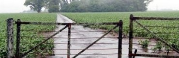 Info para el sector agropecuario