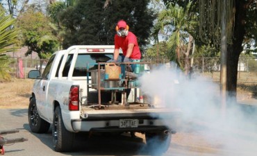 Confirmado primer caso de dengue en Los Toldos!