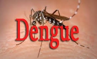 Estar informados es importante. No hay que alarmarse, sì ocuparse: Mas para saber sobre el dengue