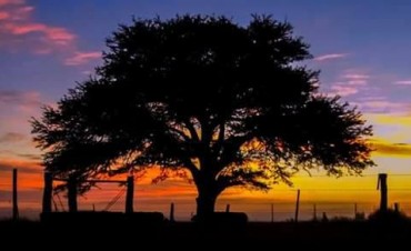 Info actualizada para el hombre de campo: Agricultura, Ganaderia, Forestación,Fruti-horticultura, y Agro-industria
