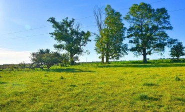 Info para el hombre de campo: Agricultura, Ganaderia, Forestación,Fruti-horticultura, y Agro-industria. Espacio, presentado por la Asociación Rural de Gral Vte