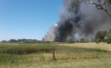 La Municipalidad de General Viamonte informa: