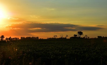 Info para el hombre de campo: Agricultura, Ganaderia, Forestación,Fruti-horticultura, y Agro-industria. Espacio, presentado por la Asociación Rural de Gral Vte