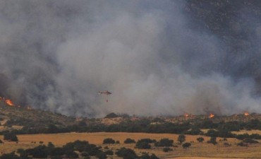 Incendio en Sierra de la Ventana: el fuego arrasó 4 mil hectáreas