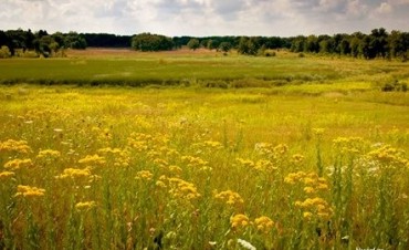 Info para el hombre de campo