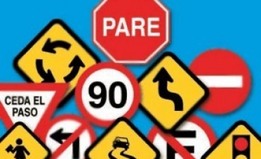 Educación vial: un camino hacia la vida by Liliana Sangre