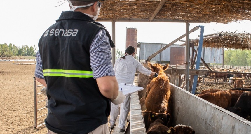 GRAL VIAMONTE | Primera campaña anual de vacunación contra la fiebre aftosa y la brucelosis