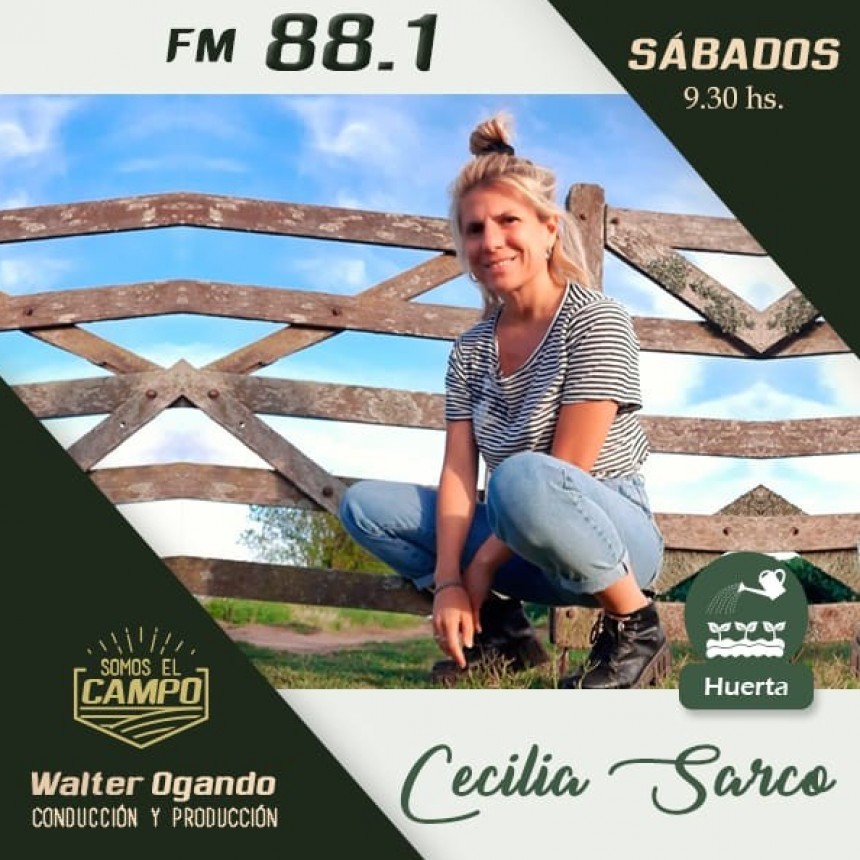 CECILIA SARCO: Hoy hablaremos de la sequia en nuestra huerta