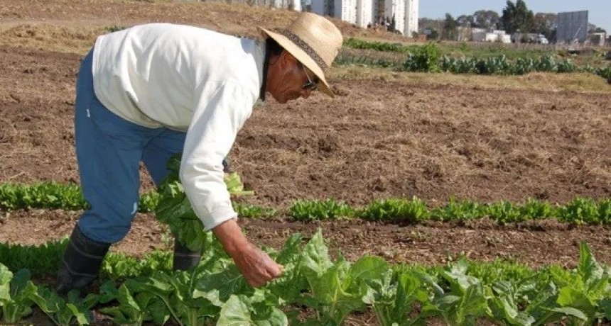 ING AGRONOMA CECILIA SARCO: Medidas para enfrentar la sequía en la huerta agroecológica