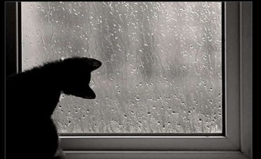 Como va a estar el tiempo hoy domingo, en nuestra ciudad?