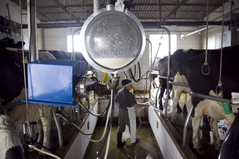 El Gobierno prorrogó por un año la suspensión de las retenciones a los productos lácteos