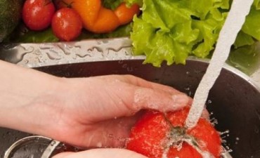 Nuevo curso de manipulacion de alimentos