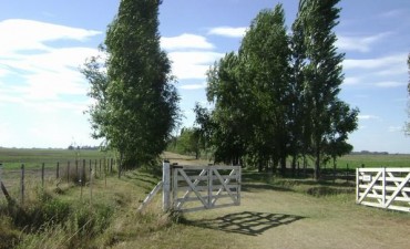 Info para el hombre de campo