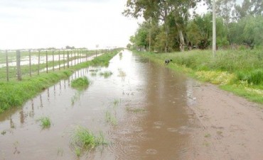 Info para el hombre de campo