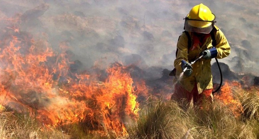 Estudian la frecuencia histórica mensual de los incendios