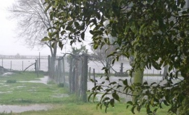 Registro pluviométrico de la regiòn . Actualizado a la hora 13:30 hs