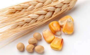 Info para el hombre de campo