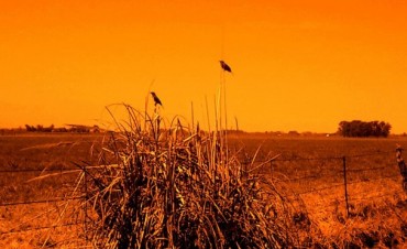 Info para el hombre de campo