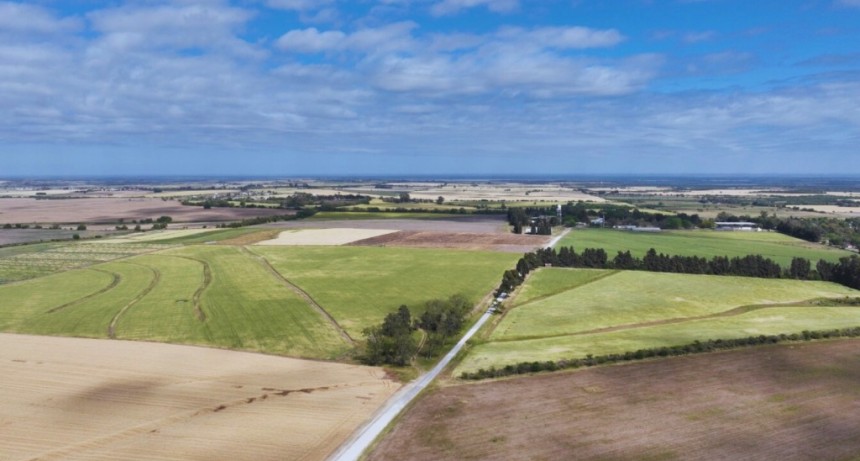 Una estrategia para mejorar los agroecosistemas del futuro