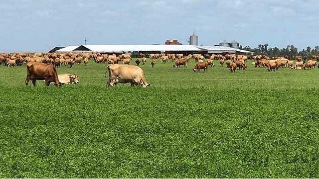 Mercados. Presenta Asociación Rural de Gral Vte