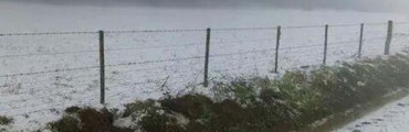 El granizo arrasó 90 mil hectáreas en el sudeste de Córdoba