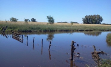 Info para el hombre de campo