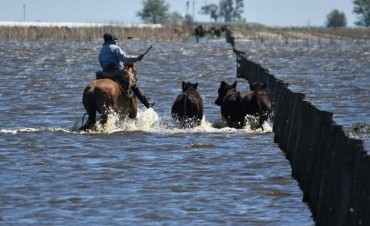 Las pérdidas por las inundaciones en Villegas superan los 5 mil millones de pesos y hay 430 mil hectáreas afectadas