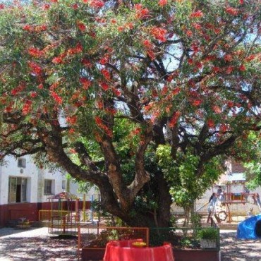 Se realizó la feria nacional de innovacion educativa y el Jardin 901 de Los Toldos obtuvo una distinción