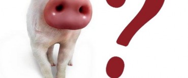 Dirección de Bromatología informa que se continúan recibiendo muestras para el análisis de TRIQUINOSIS