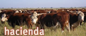 Informe sobre los mercados