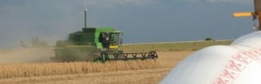 Nuevos Informes del sector