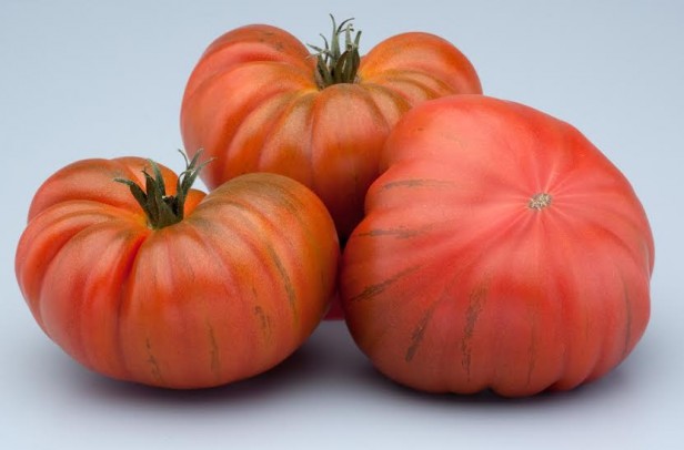 Los tomates diferentes en sabor y color