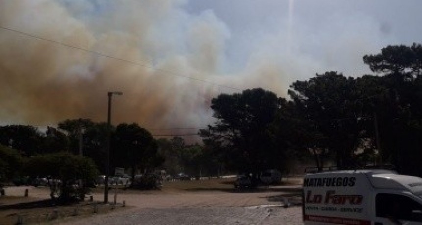Incendio en Villa Gesell: el intendente Barrera confirmó que 