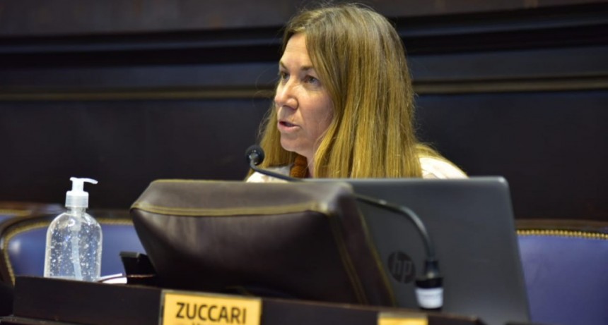  Zuccari reclama que se informe el avance de las obras en la Ruta Nacional 188 