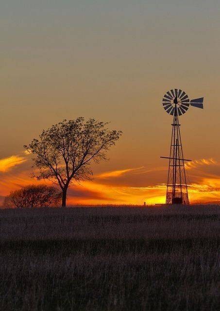 Presenta Asociación Rural de Gral Vte