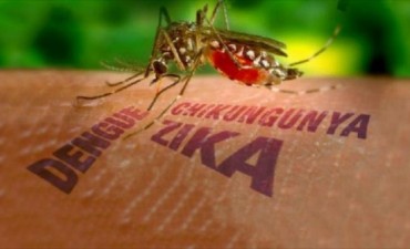 ¿Qué tan peligroso es el virus del Zica? by Carlos Vilchez Navamuel