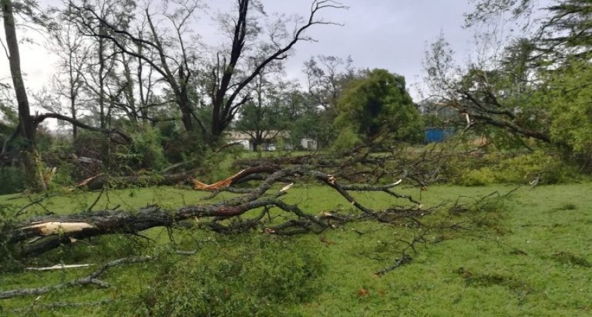 Increíble: un tornado derribó a cuatro camiones juntos en Azul