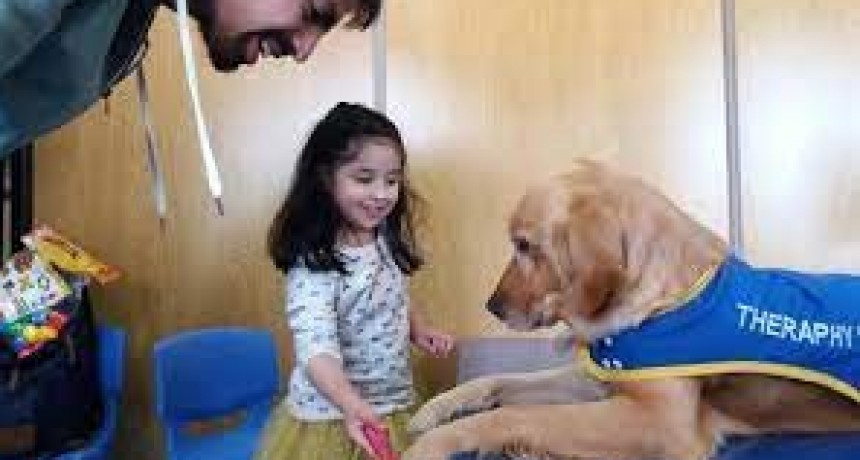Por primera vez usan terapia asistida con perros para pacientes internados en el Garrahan