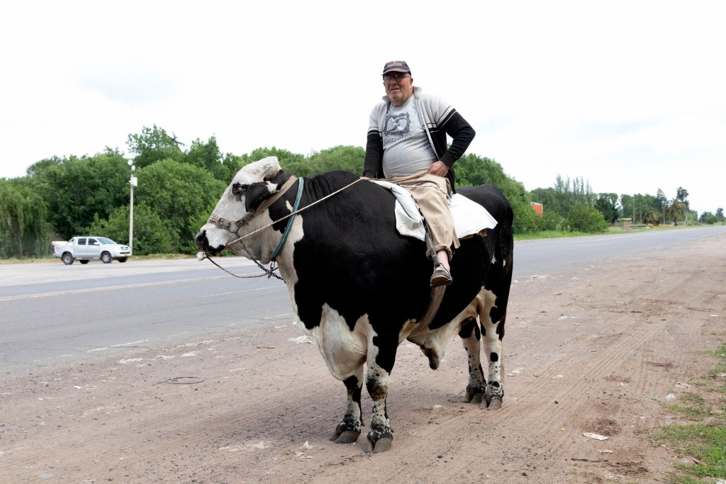 Carlos Valinote y su pasión por los cebúes en la vecina ciudad de 9 de Julio