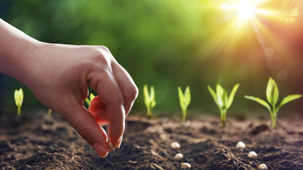 La Argentina, con alto potencial para producir fertilizantes biológicos