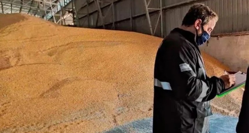 La AFIP secuestró 300 toneladas de maíz que iban a ser exportadas ilegalmente a Uruguay