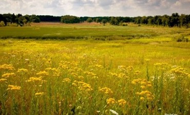 Info para el hombre de campo