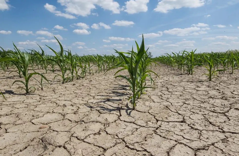 Mesa Nacional de Monitoreo de Sequías