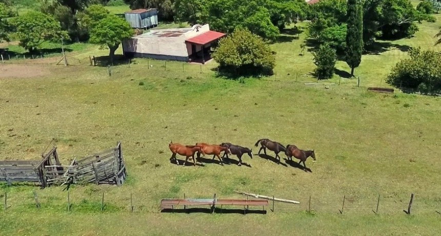 Presenta Asociación Rural de Gral Vte