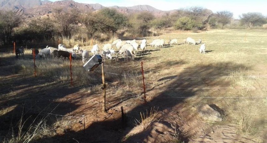 Boyeros solares, energía para el desarrollo productivo de las familias rurales