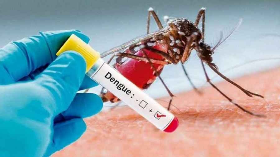 Esta región fue considerada “en brote” de dengue