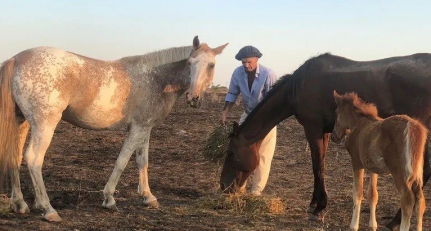 Presenta Asociación Rural de Gral Vte