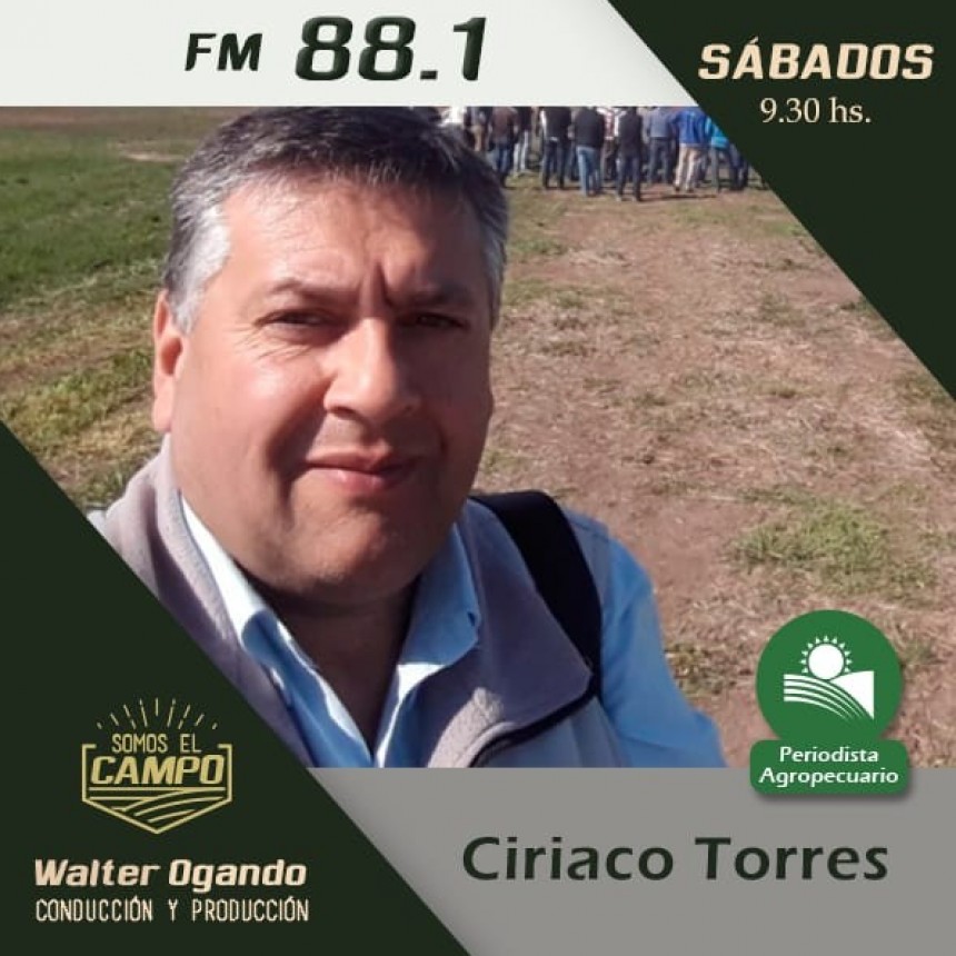 Ciriaco Torres desde 