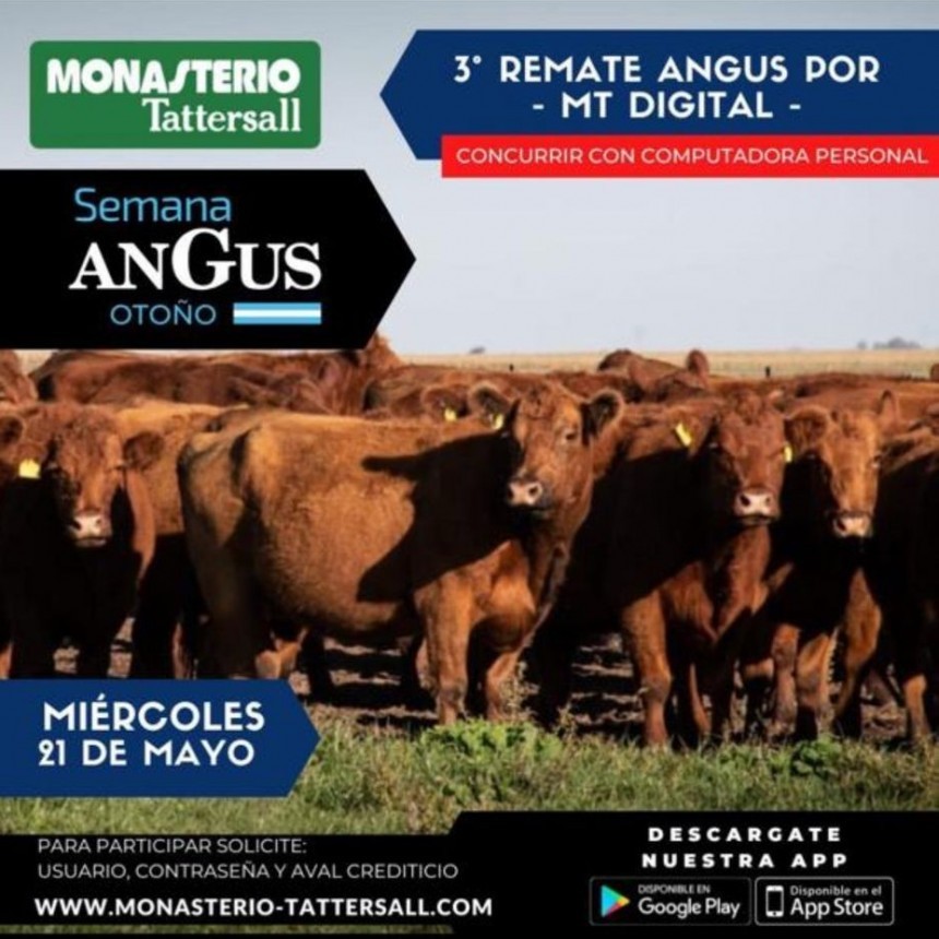 Representantes de Monasterio Tattersall. Pròximos remates feria
