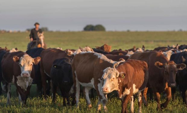 Presenta Asociación Rural de Gral Vte